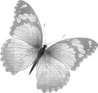 Schmetterling - nemokama png