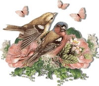 blomma-fåglar-rosa - 免费PNG