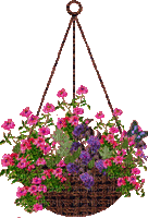 Bloemen en Planten - Besplatni animirani GIF
