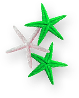 Starfish.Green.White - gratis png