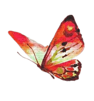 Бабочка акварель - zdarma png