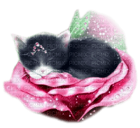 Kitten.Fairy.Rose.Fantasy.Pink - KittyKatLuv65 - Free PNG