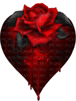 rose red rot black - PNG gratuit