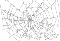 Spider web acc - Free PNG