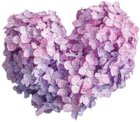 heart hydrangea - ücretsiz png