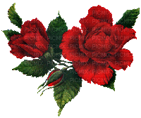 rosas-l - Gratis animerad GIF