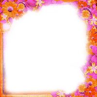 Frame.Flowers.Pink.Orange - By KittyKatLuv65 - Free PNG