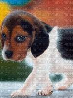 chiot - Free animated GIF