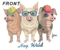 LES COCHONS - Free animated GIF