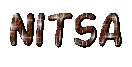 Nitsa - logotupo 15 - Darmowy animowany GIF