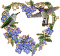 hummingbird - Бесплатни анимирани ГИФ