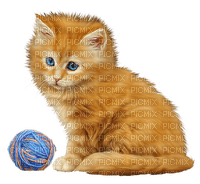 Kaz_Creations Cats Cat Kittens Kitten - png grátis