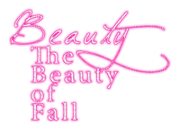 The Beauty Of Fall.Text.White.Pink - gratis png