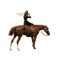 dama  caballo dubravka4 - gratis png