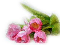 fleur,flower - zdarma png