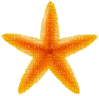 Kaz_Creations Deco Beach Starfish - nemokama png