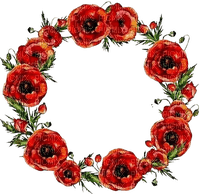 Poppies.Coquelicot.Frame.Cadre.Victoriabea - ilmainen png
