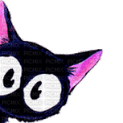 cat chat katze fun tube animal animals animaux mignon gif anime animated animation cartoon face black noir
