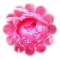 rose 3 - ücretsiz png