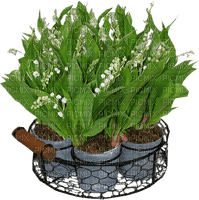 Bloemen en Planten - ingyenes png