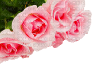 Y.A.M._Summer Flowers Decor - 無料のアニメーション GIF
