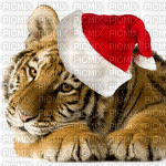 голова тигра - GIF animado gratis