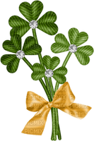 Kaz_Creations St.Patricks Day Deco - Free PNG