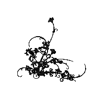 Fleur Noir Déco:) - GIF animé gratuit