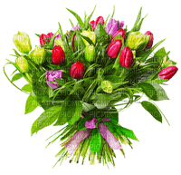 букет тюльпанов - δωρεάν png
