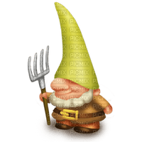 GNOMES - zdarma png