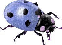Kaz_Creations Ladybugs Ladybug - 無料png