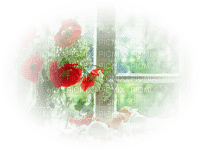 Mohnblumen am Fenster - png gratis