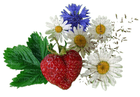 patymirabelle fraise et fleurs - zdarma png