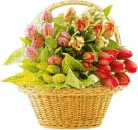 Kaz_Creations Deco Basket Flowers - gratis png