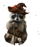 racoon - δωρεάν png