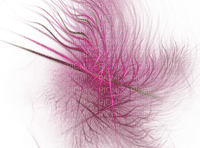 cecily-effet plume rose 6 - Free PNG