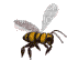 abeille - GIF animado gratis