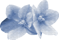 Kaz_Creations  Deco Baby Blue Flowers - 免费PNG