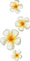 flowers  Bb2 - Free PNG