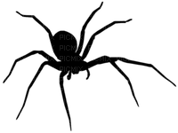 araignée - PNG gratuit
