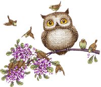 Y.A.M._Spring owl - Free PNG