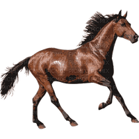 Zizi_Diamond Horse - bezmaksas png