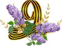 VICTORY DAY - kostenlos png