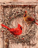 Winter Birds - Безплатен анимиран GIF