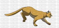 puma - Ücretsiz animasyonlu GIF