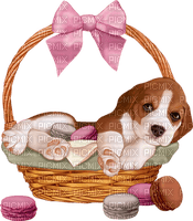 Kaz_Creations Dog Pup In Basket - png grátis