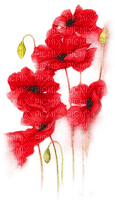 soave deco flowers poppy red green - png ฟรี