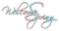 soave text welcome spring pink teal - Free PNG