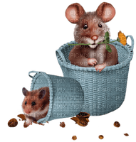 maus hamster - PNG gratuit