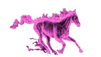 fire horse by nataliplus - png grátis